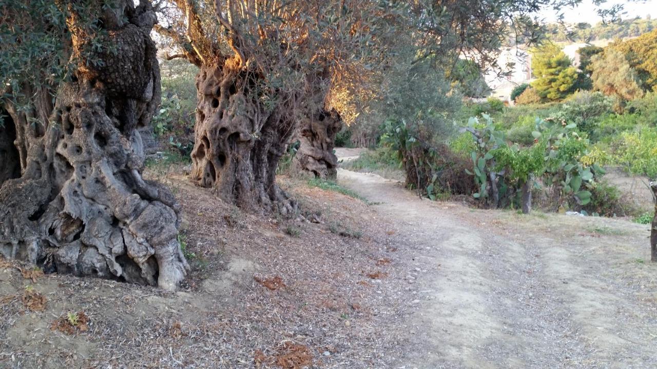 La Villa Di Minerva Agrigent Exterior foto