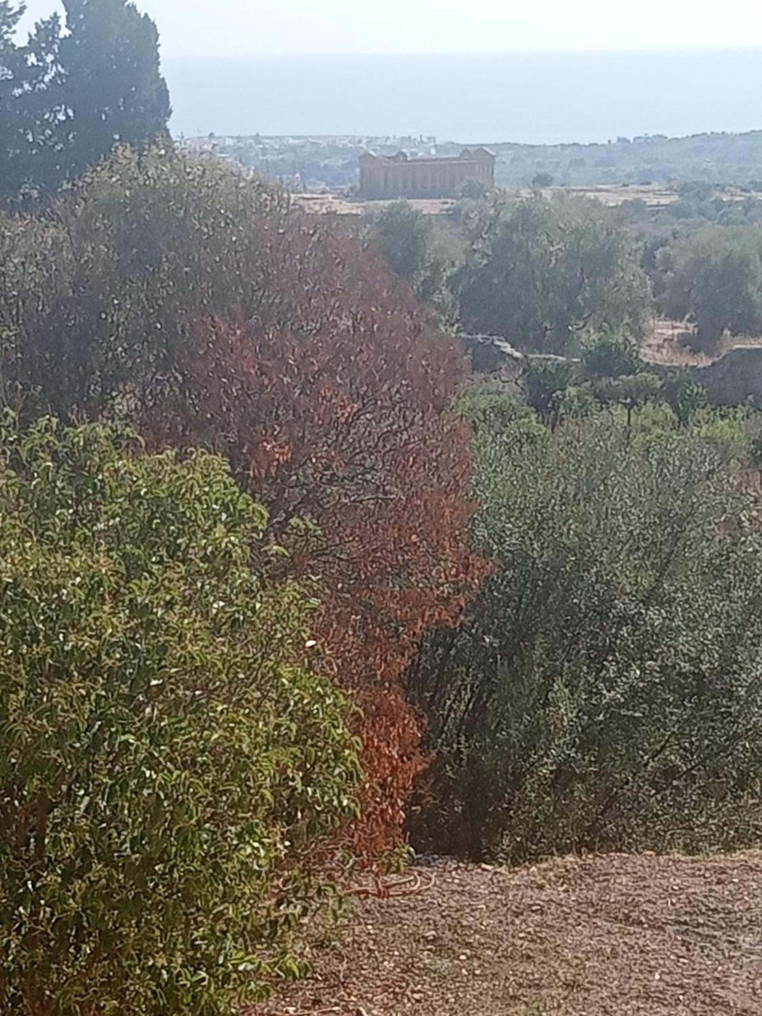 La Villa Di Minerva Agrigent Exterior foto